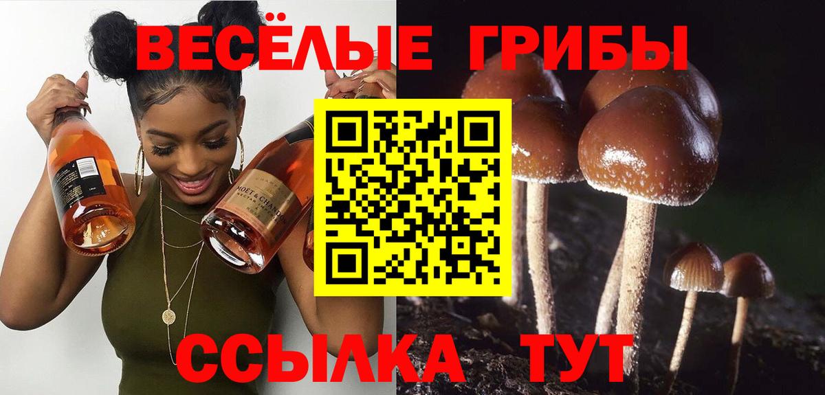 Галлюциногенные грибы Cubensis Керчь